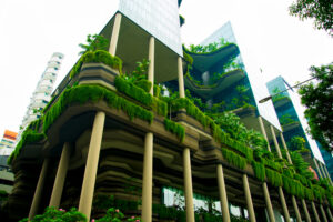 architecture-biophilique